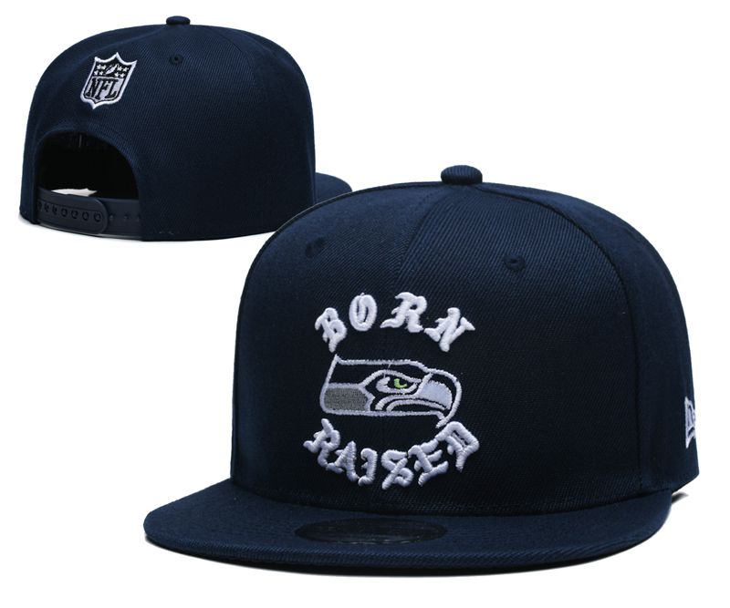 2025 NFL Seattle Seahawks Hat YS2025411->mlb hats->Sports Caps